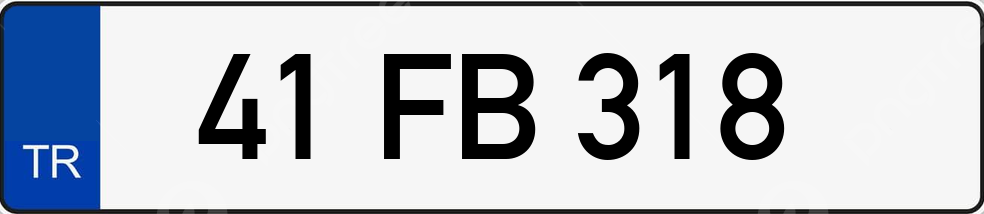 41 FB 318